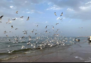 Muscat Homestay & Hospitality